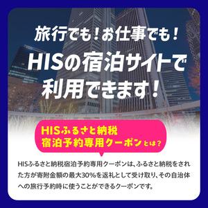 HISふるさと納税宿泊予約専用クーポン（東京都新宿区）3,000円分 0109-001-S06