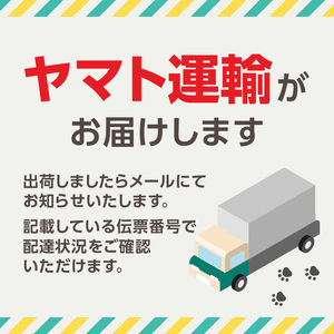 【先行予約※2025年4月より発送開始】韓国海鮮料理プレミアムセットA 0110-006-S06