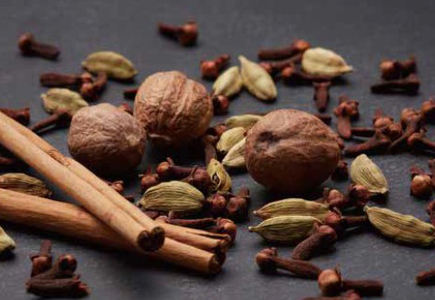 京王プラザホテル トラディショナルフルーツケーキ（L） 0041-008-S06