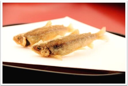 天ぷらおまかせディナーコース・ペアお食事券_0128-001-S06