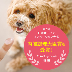 CRYSTAL JOY 0144-001-S07