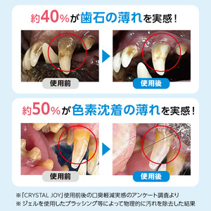 CRYSTAL JOY 0144-001-S07