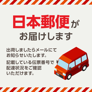 〈innowa〉buddy Max ポータブルラジオ・TV 0170-004-S07