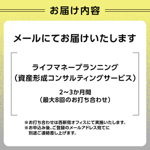 ライフマネープランニング（資産形成コンサルティングサービス） 0167-001-S07