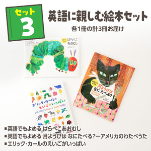 テーマ別おすすめの絵本セット【英語に親しむ絵本セット】 ３歳～向け（偕成社） 0047-002-S07-3