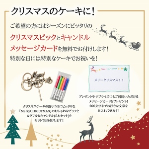 低糖質 クリスマスケーキ 糖質70％カット ラズベリーチーズケーキ(キャンドル・Xmasプレート付) 0007-014-S05