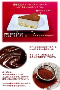 低糖質 クリスマスケーキ 糖質75％カット 生チョコレアチーズケーキ(キャンドル・Xmasプレート付) 0007-017-S05