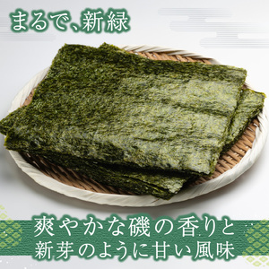 有明海産焼のり満足セット(大判) 0034-008-S05