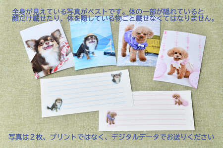 犬猫写真の一筆箋「わんにゃん筆箋」お家の犬猫の写真でオリジナル作成 0039-001-S05