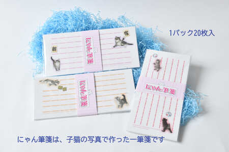 猫写真の一筆箋「にゃん筆箋」新宿キャット3パックセット 0039-002-S05