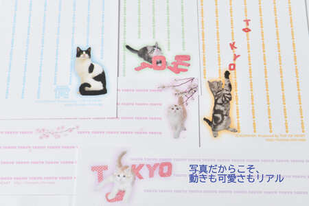猫写真の一筆箋「にゃん筆箋」東京キャット5種セット 0039-003-S05