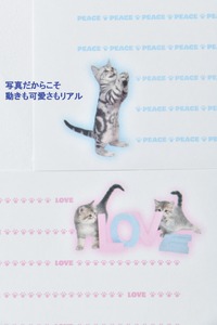 猫写真の一筆箋「にゃん筆箋」隔月ごとに新作２種類が３回届くセット 0039-005-S05