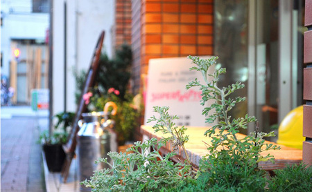 バラのアイスケーキ アイス ケーキ アイスケーキ ジェラート バラ エディブルフラワー 食用花 お誕生日 お祝い プレゼント ギフト 文京区 東京