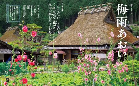 学習 美しい日本の言葉を学ぶ絵本 日本のことばずかん セット 図鑑 本 子供 小学生 ギフト 贈答 プレゼント