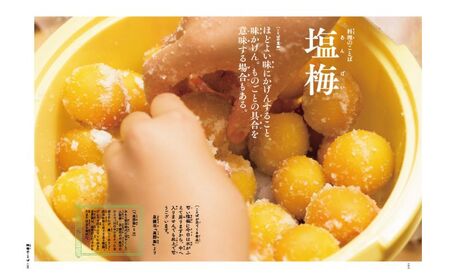 学習 美しい日本の言葉を学ぶ絵本 日本のことばずかん セット 図鑑 本 子供 小学生 ギフト 贈答 プレゼント