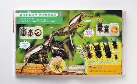 講談社おはなし隊セレクト 講談社の動く図鑑MOVE【はじめてのずかん】 7冊セット 本 図鑑 小学生 子供 こども 2才から 教育 セット ギフト 贈答品 文京区 東京都