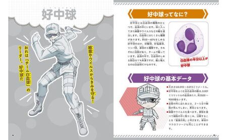 【講談社おはなし隊セレクト】はたらく細胞図鑑 全3冊セット 本 図鑑 セット 小学生 こども ギフト 贈答品 文京区 東京都