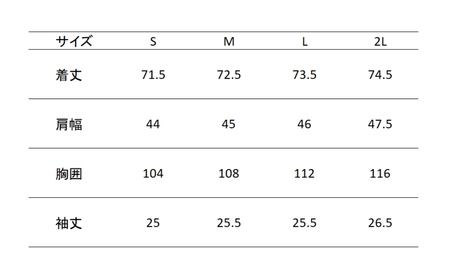レピウスの白衣 【メンズ】スクラブ リンクル / ネーム刺繍付き (カラー：チャコール、サイズ：S)