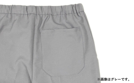 レピウスの白衣 【メンズボトムス】スクラブパンツ リンクル (カラー：グレー、サイズ：L)