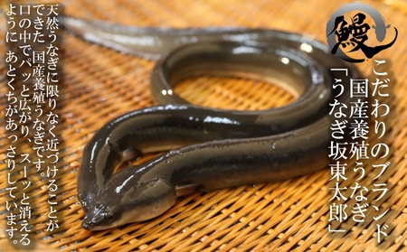 【鰻 駒形前川 浅草本店 限定】御食事券 花冠コース