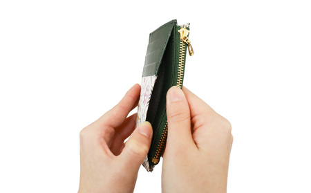 【浅草文庫】フラグメントケース〈ふくろう柄〉(カラー：サンライズ（ピンク系）)