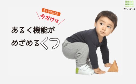 ちいくっく®|あるく機能が目覚めるくつ(サイズ:13.5cm、柄:ちょうちょさん&イモムシちゃん)