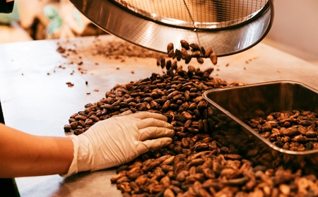 【ダンデライオン・チョコレート】チョコレート・コレクション(2枚)