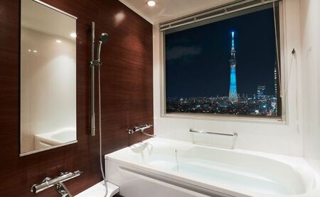 ロッテシティホテル 錦糸町 ホテル利用券 20,000円分 墨田区 錦糸町 ホテル 利用券 SKYTREE