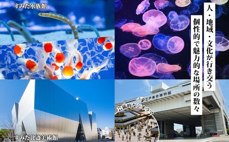 【東京ツアー】墨田区 旅行クーポン 後から選べる旅行Webカタログで使える！旅行クーポン（60,000円分）粋をめぐる、すみだ旅！ 旅行券 宿泊券 飲食券 体験サービス券