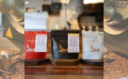 ロースターズセレクト 250g×3種類のおすすめスペシャルティコーヒー ドリンク コーヒー スペシャルティコーヒー 中挽き