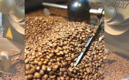 ロースターズセレクト 250g×3種類のおすすめスペシャルティコーヒー ドリンク コーヒー スペシャルティコーヒー 中挽き