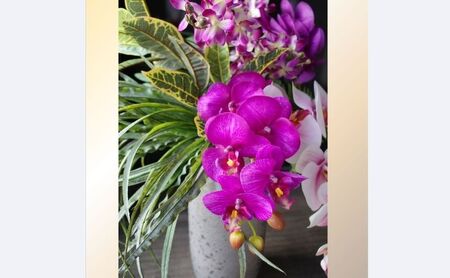 上質 胡蝶蘭アレンジメント ファレノ フェイクグリーン ラン オーキッド  お洒落 オフィス装花 玄関インテリア かっこいい 高級感 贈答花