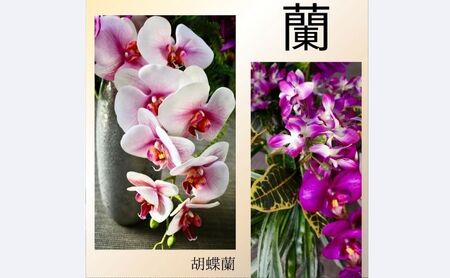 上質 胡蝶蘭アレンジメント ファレノ フェイクグリーン ラン オーキッド  お洒落 オフィス装花 玄関インテリア かっこいい 高級感 贈答花
