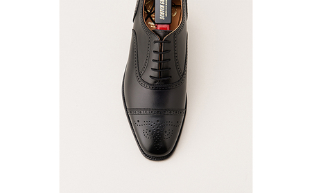スコッチグレイン 紳士靴 「アシュランス」 NO.3520 メンズ 靴 シューズ ビジネス ビジネスシューズ 仕事用 ファッション パーティー フォーマル 25.5cm
