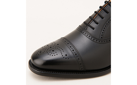 スコッチグレイン 紳士靴 「アシュランス」 NO.3520 メンズ 靴 シューズ ビジネス ビジネスシューズ 仕事用 ファッション パーティー フォーマル 23.5cm