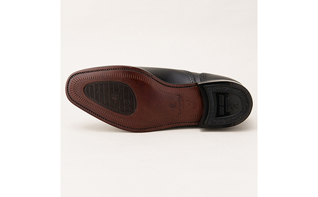 スコッチグレイン 紳士靴 「アシュランス」 NO.3520 メンズ 靴 シューズ ビジネス ビジネスシューズ 仕事用 ファッション パーティー フォーマル 27.0cm