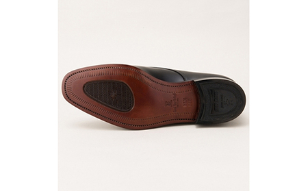 スコッチグレイン 紳士靴 「アシュランス」 NO.3524 メンズ 靴 シューズ ビジネス ビジネスシューズ 仕事用 ファッション パーティー フォーマル 24.0cm