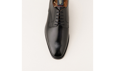 スコッチグレイン 紳士靴 「アシュランス」 NO.3524 メンズ 靴 シューズ ビジネス ビジネスシューズ 仕事用 ファッション パーティー フォーマル 24.5cm