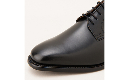 スコッチグレイン 紳士靴 「アシュランス」 NO.3524 メンズ 靴 シューズ ビジネス ビジネスシューズ 仕事用 ファッション パーティー フォーマル 24.5cm