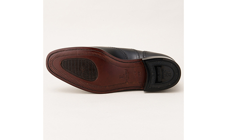 スコッチグレイン 紳士靴 「アシュランス」 NO.3525 メンズ 靴 シューズ ビジネス ビジネスシューズ 仕事用 ファッション パーティー フォーマル 23.5cm