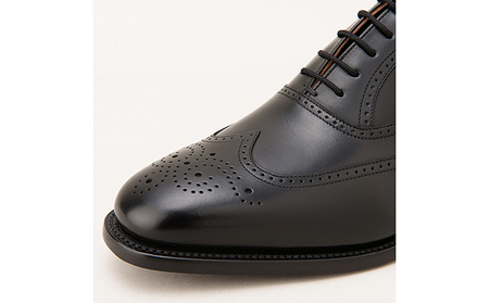 スコッチグレイン 紳士靴 「アシュランス」 NO.3525 メンズ 靴 シューズ ビジネス ビジネスシューズ 仕事用 ファッション パーティー フォーマル 23.5cm