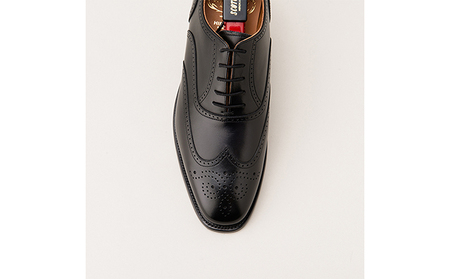 スコッチグレイン 紳士靴 「アシュランス」 NO.3525 メンズ 靴 シューズ ビジネス ビジネスシューズ 仕事用 ファッション パーティー フォーマル 25.5cm