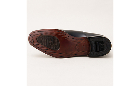 スコッチグレイン 紳士靴 「アシュランス」 NO.3526 メンズ 靴 シューズ ビジネス ビジネスシューズ 仕事用 ファッション パーティー フォーマル 25.5cm