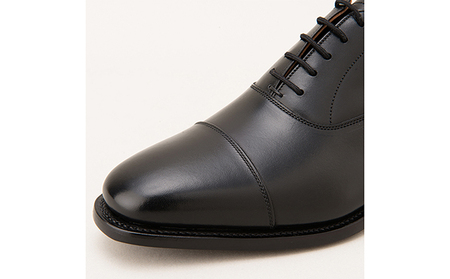 スコッチグレイン 紳士靴 「アシュランス」 NO.3526 メンズ 靴 シューズ ビジネス ビジネスシューズ 仕事用 ファッション パーティー フォーマル 25.5cm