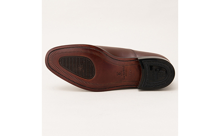 スコッチグレイン 紳士靴 「アシュランス」 NO.3526DBR メンズ 靴 シューズ ビジネス ビジネスシューズ 仕事用 ファッション パーティー フォーマル 24.5cm