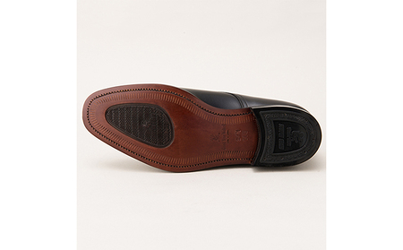 スコッチグレイン 紳士靴 「アシュランス」 NO.3529 メンズ 靴 シューズ ビジネス ビジネスシューズ 仕事用 ファッション パーティー フォーマル 24.0cm