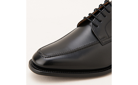 スコッチグレイン 紳士靴 「アシュランス」 NO.3529 メンズ 靴 シューズ ビジネス ビジネスシューズ 仕事用 ファッション パーティー フォーマル 24.0cm