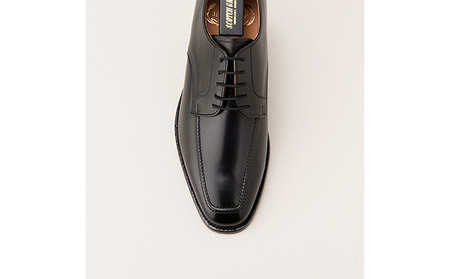 スコッチグレイン 紳士靴 「アシュランス」 NO.3529 メンズ 靴 ...
