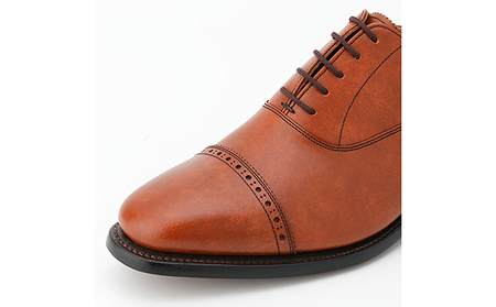 スコッチグレイン 紳士靴 「アシュランス」 NO.3536BR メンズ 靴 シューズ ビジネス ビジネスシューズ 仕事用 ファッション パーティー フォーマル 26.5cm