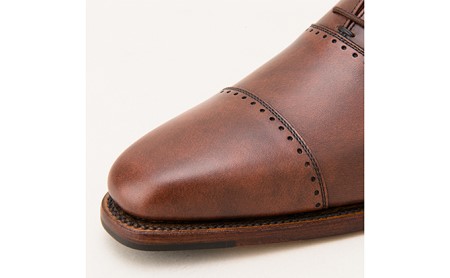 スコッチグレイン 紳士靴 「ベルオム・マーブル」 NO.756DBR メンズ 靴 シューズ ビジネス ビジネスシューズ 仕事用 ファッション パーティー フォーマル 23.5cm